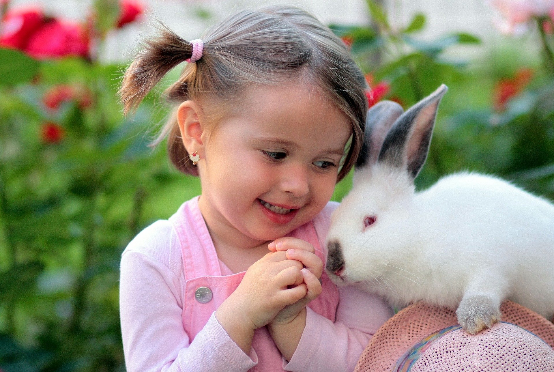 Waar denk je voor het eerst aan bij konijnen?